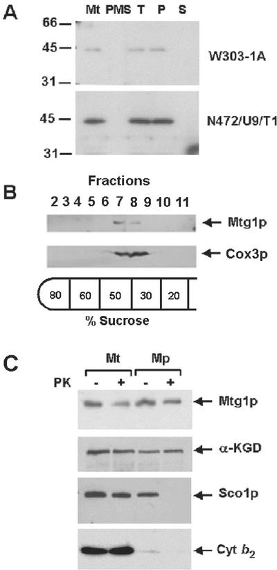 Figure 3.