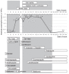 Figure 1)