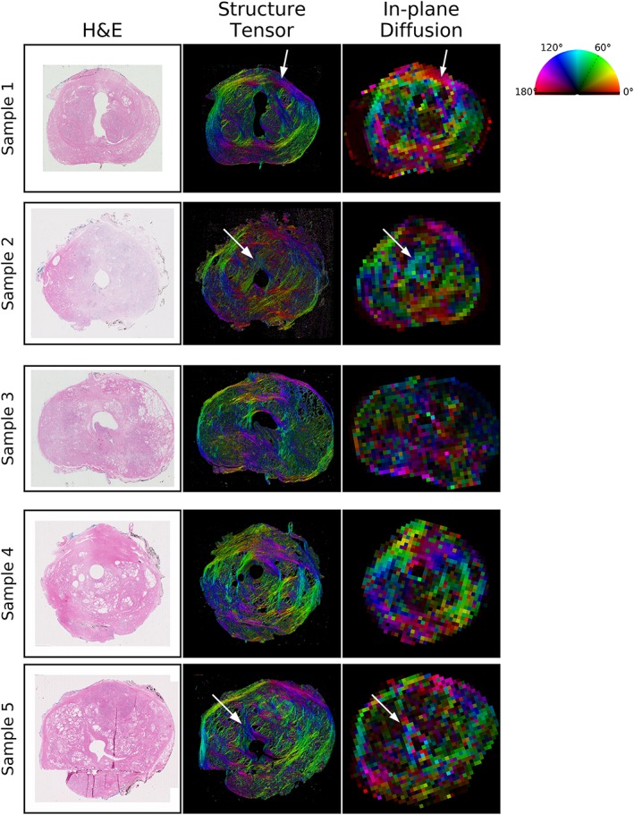 Figure 6