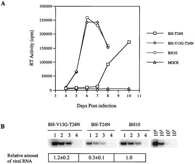 FIG. 12