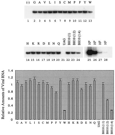 FIG. 7