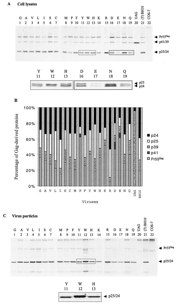 FIG. 6