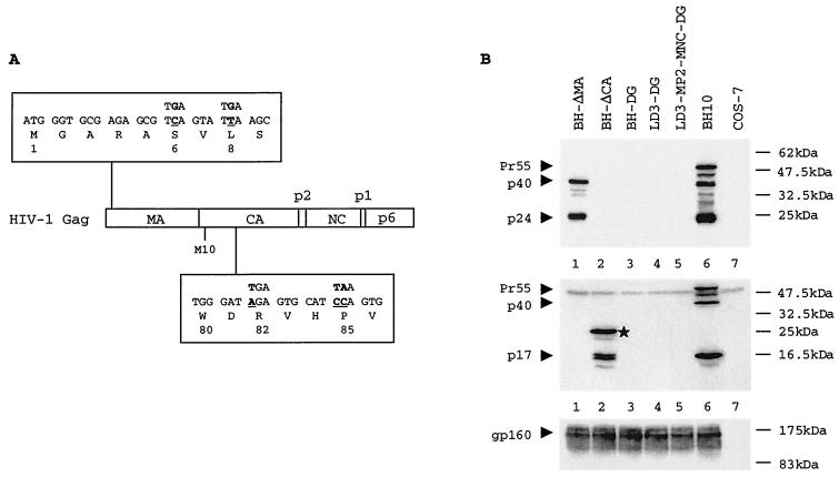 FIG. 1