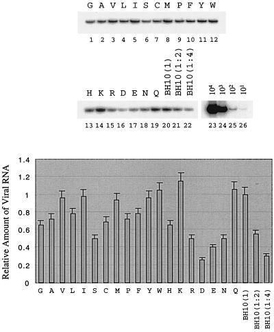 FIG. 11