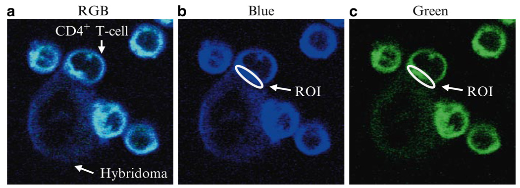 Fig. 3