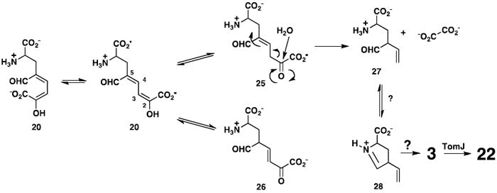 Scheme 7