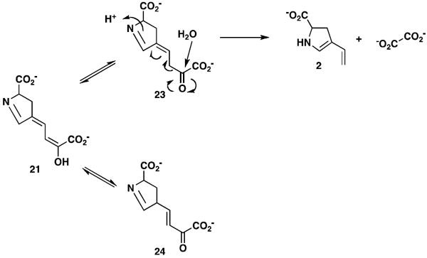 Scheme 6