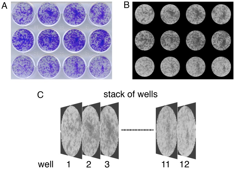 Figure 2