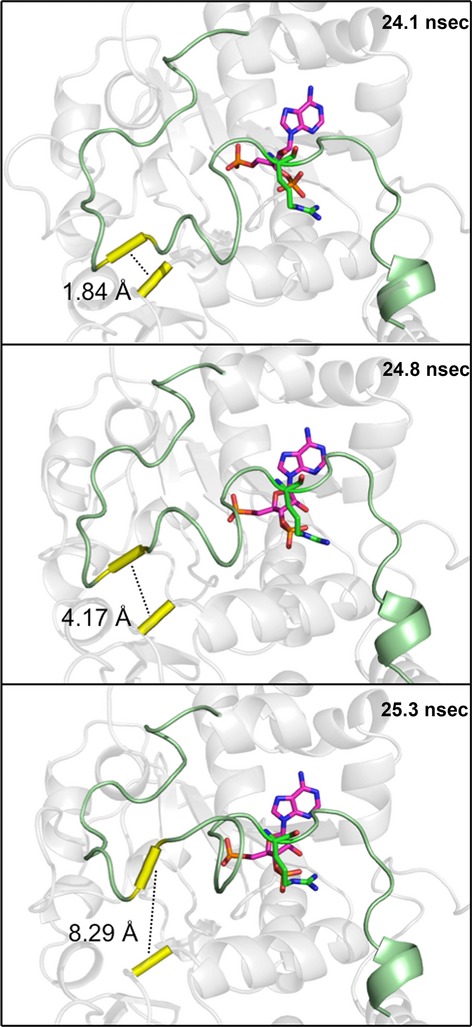 Figure 10