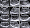 Fig. 4.