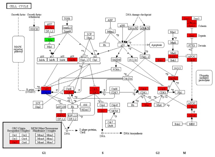 Figure 11