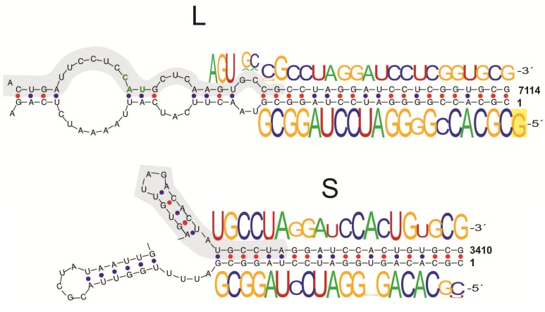 Fig. (3)