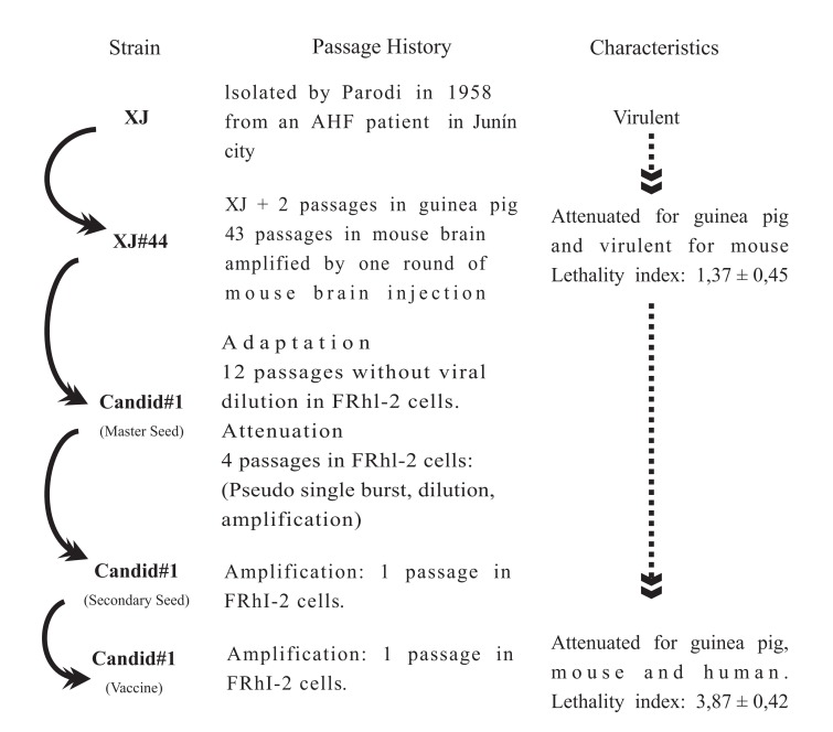 Fig. (1)