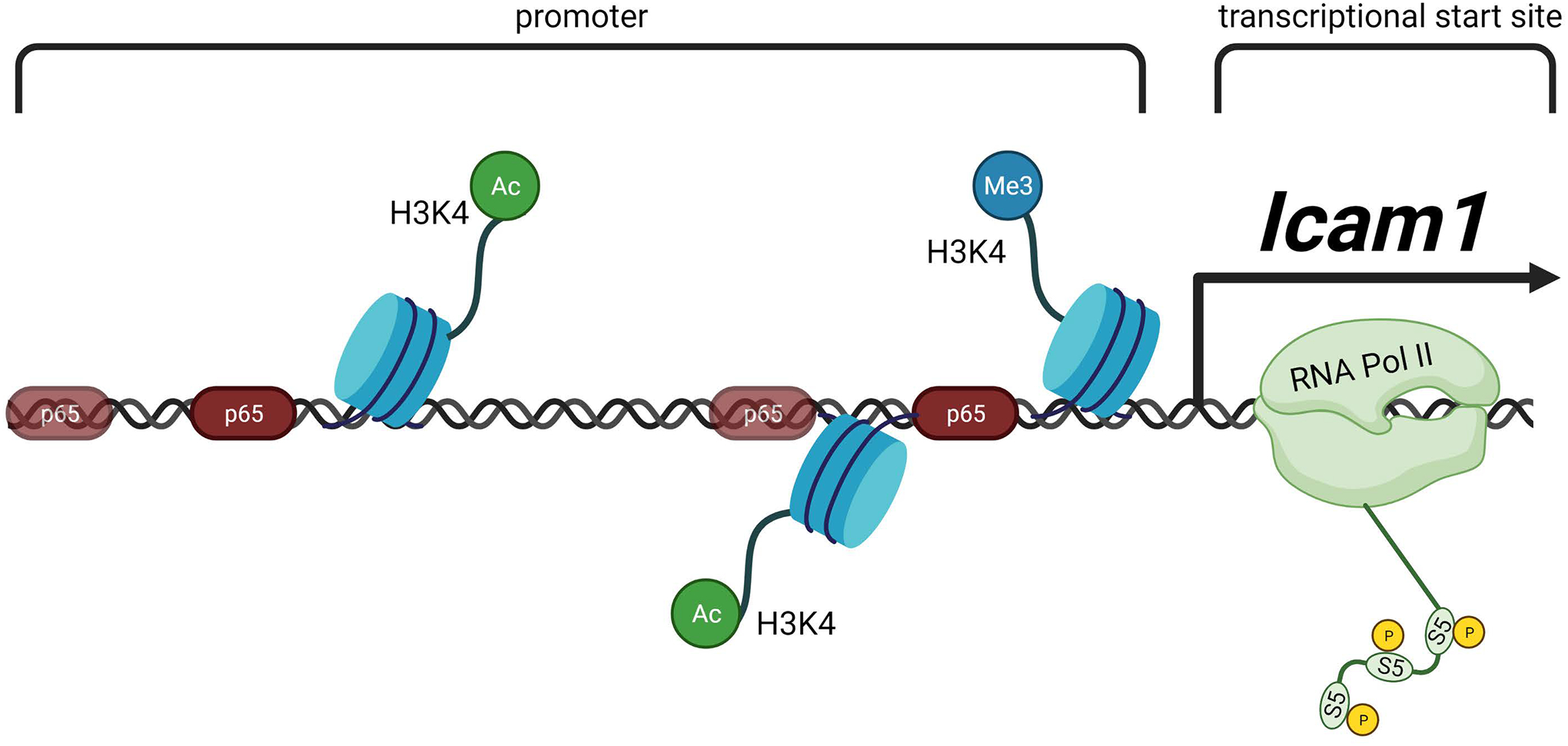 Figure 10.