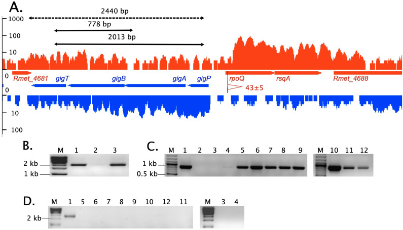 FIG 3
