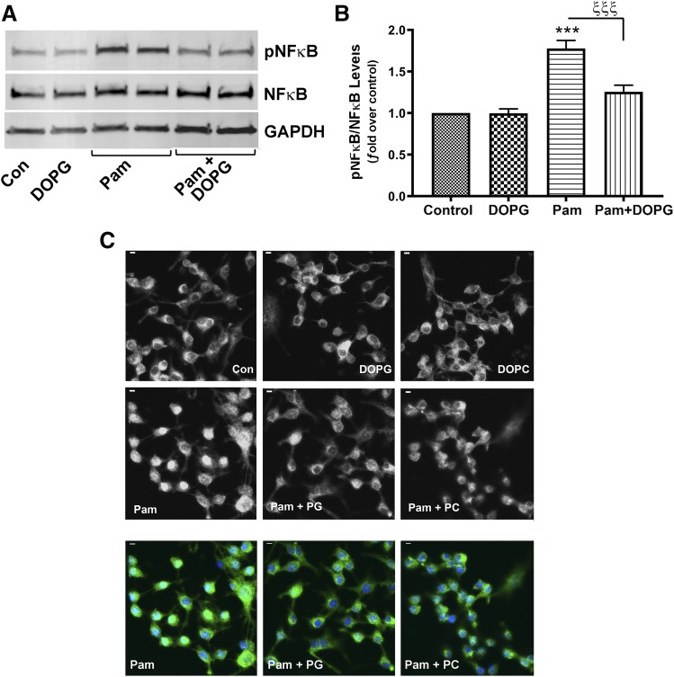 Fig. 8.