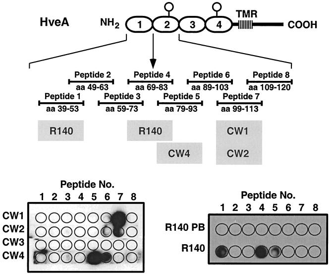 FIG. 9