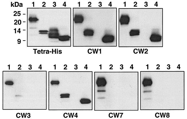 FIG. 7