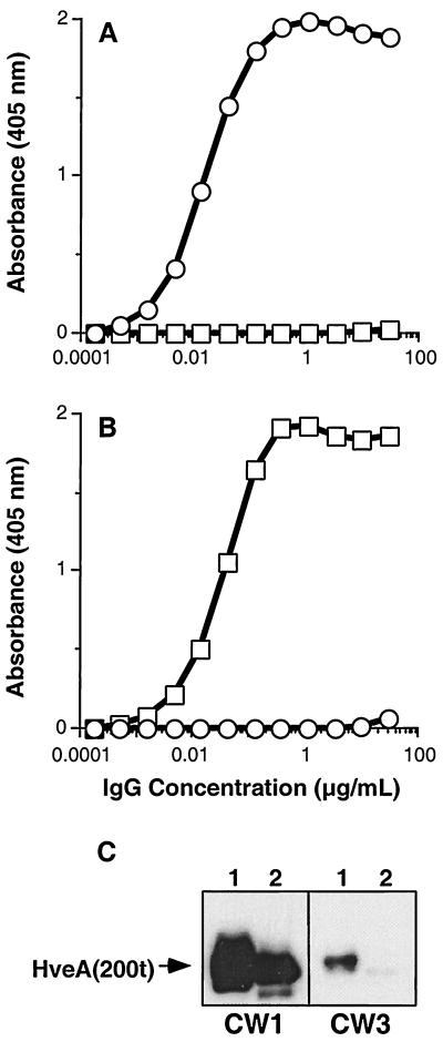 FIG. 8