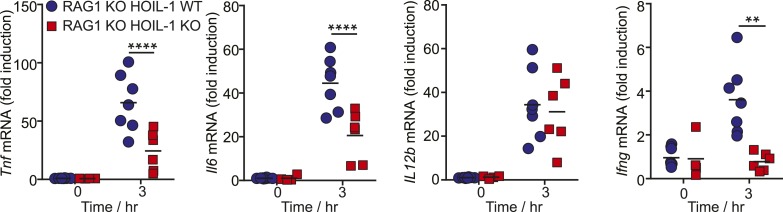 Figure 3—figure supplement 3.