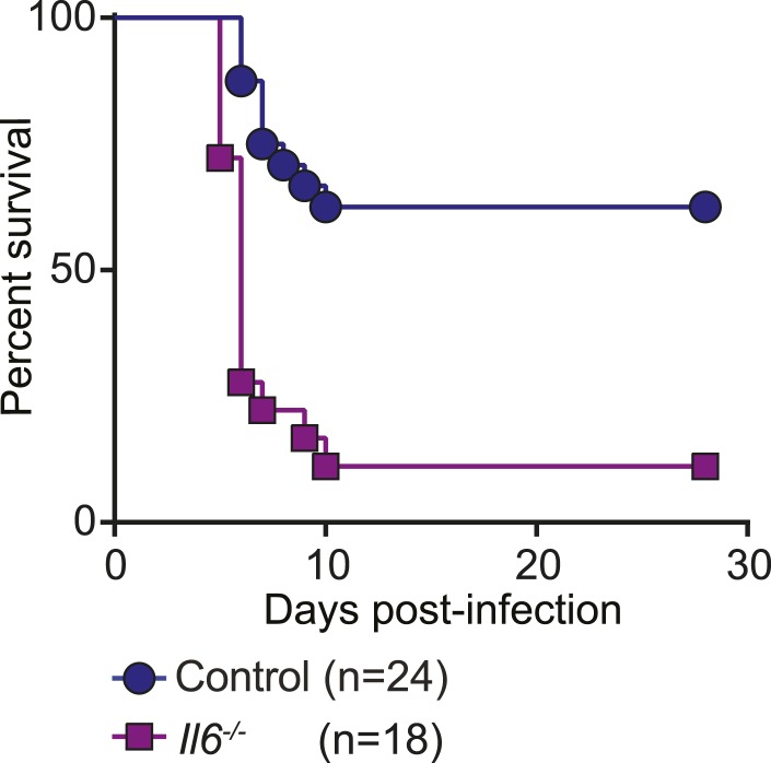 Figure 5—figure supplement 3.