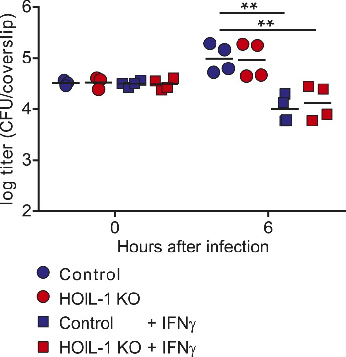 Figure 3—figure supplement 1.