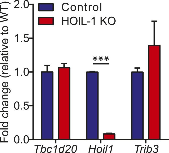 Figure 1—figure supplement 4.