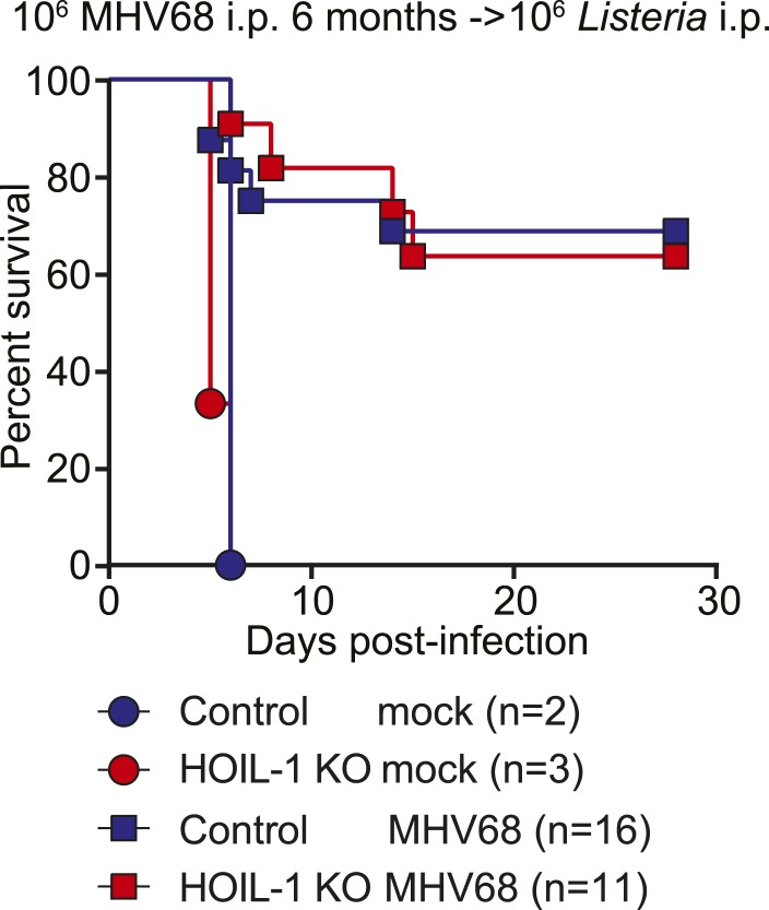 Figure 5—figure supplement 1.