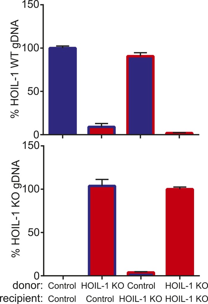 Figure 2—figure supplement 1.