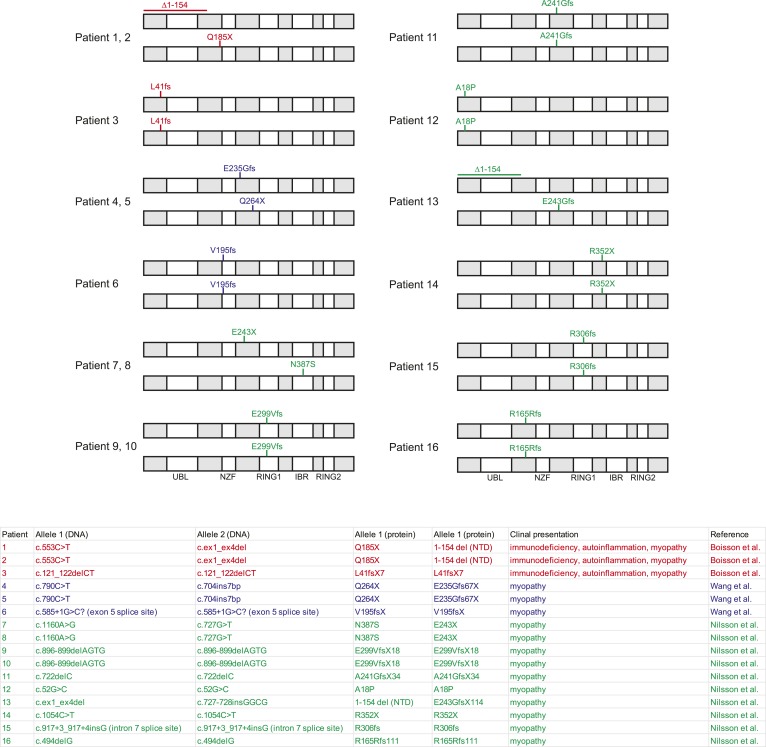 Figure 1—figure supplement 1.