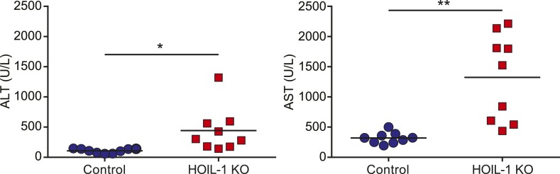 Figure 1—figure supplement 5.