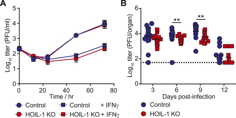 Figure 4—figure supplement 1.