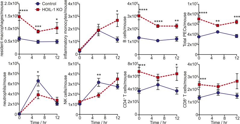 Figure 3—figure supplement 2.