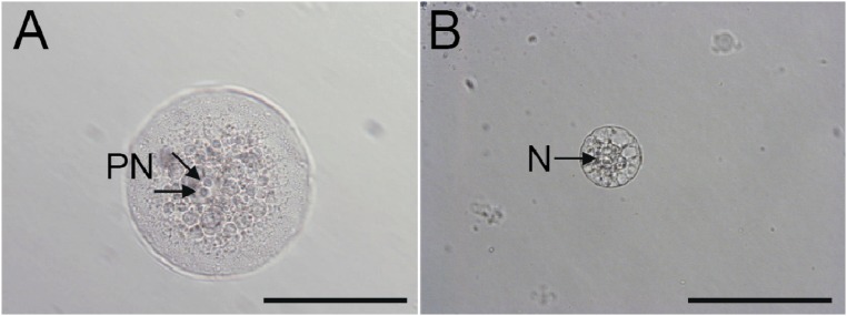 Fig. S2.