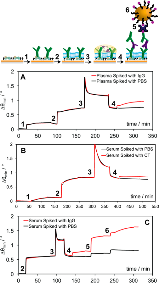 Figure 5.