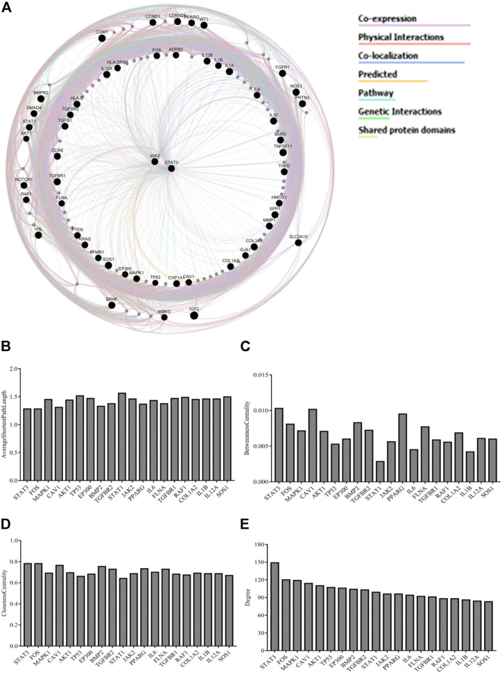 FIGURE 2