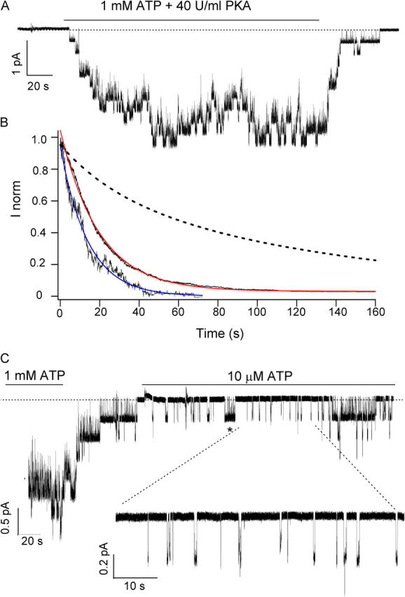 Figure 10. 