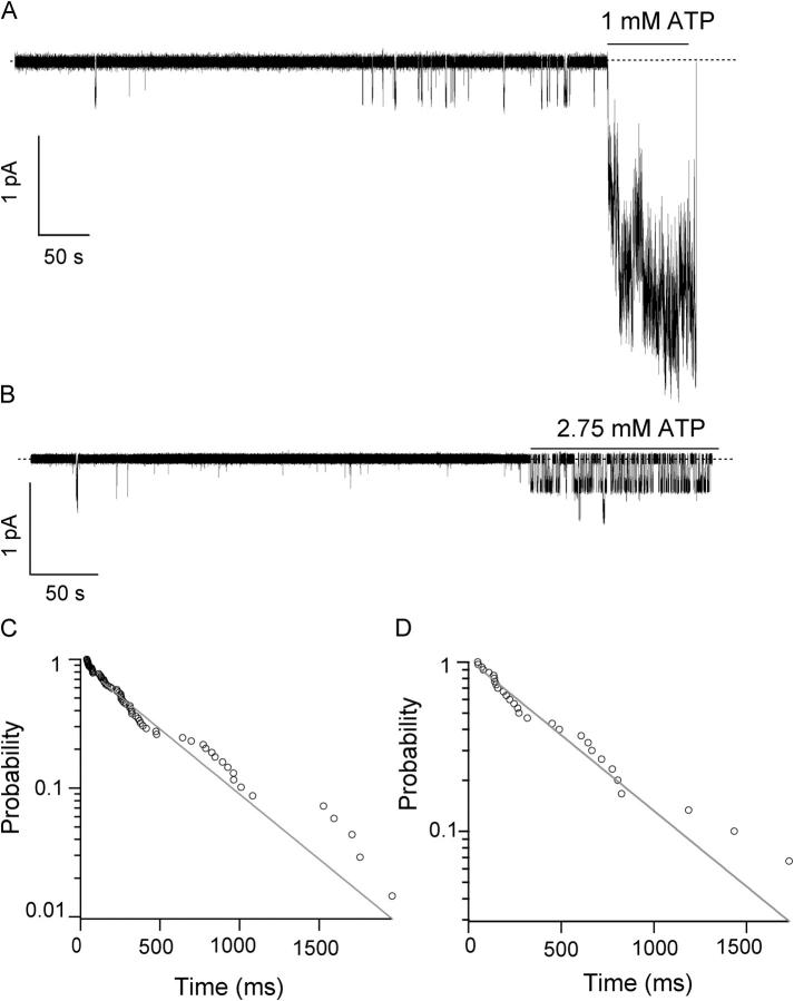 Figure 11. 