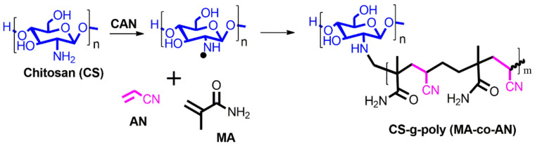 Scheme 2