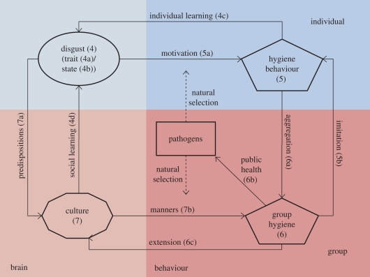 Figure 2.