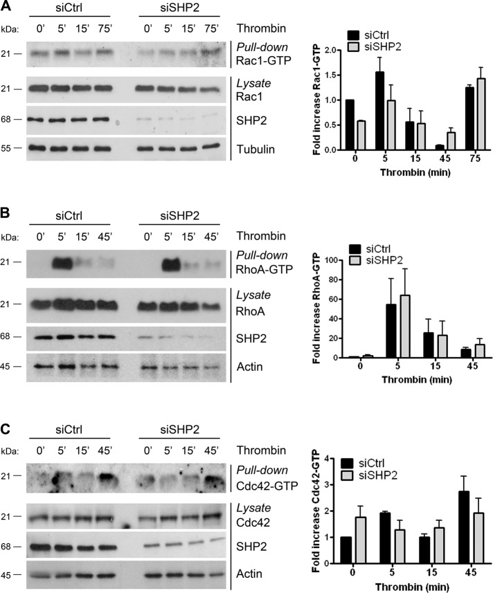 FIGURE 6: