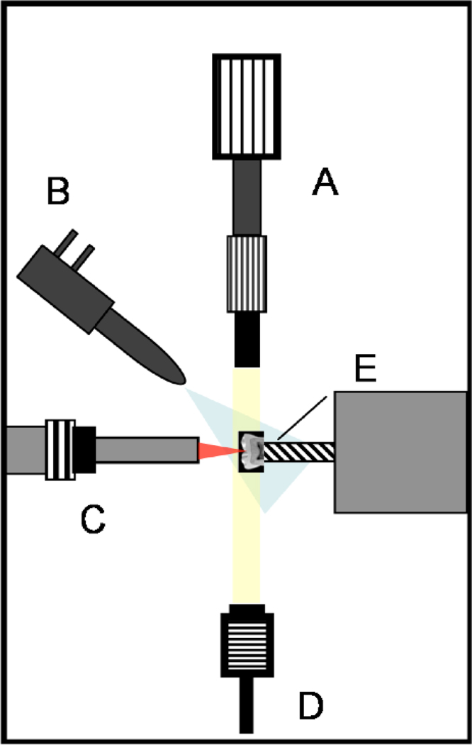 Fig. 1