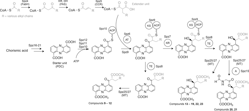 Figure 6.