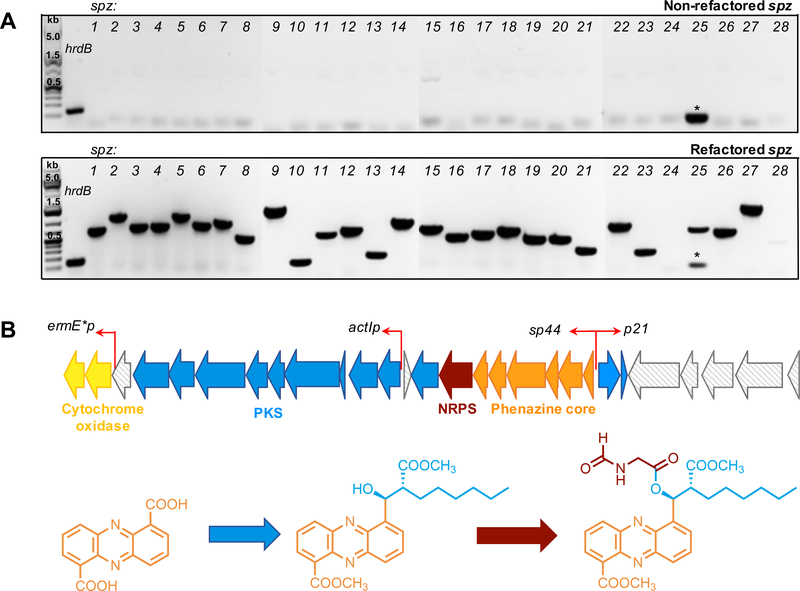 Figure 3.