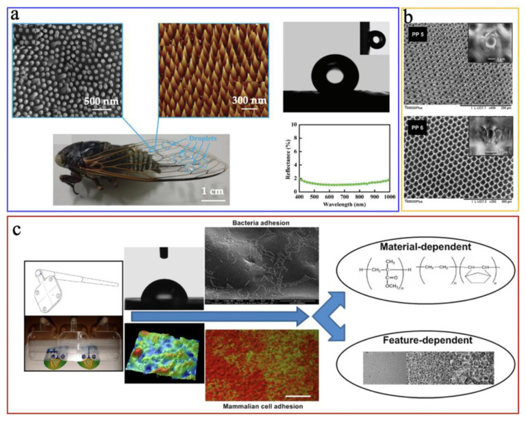 Figure 29