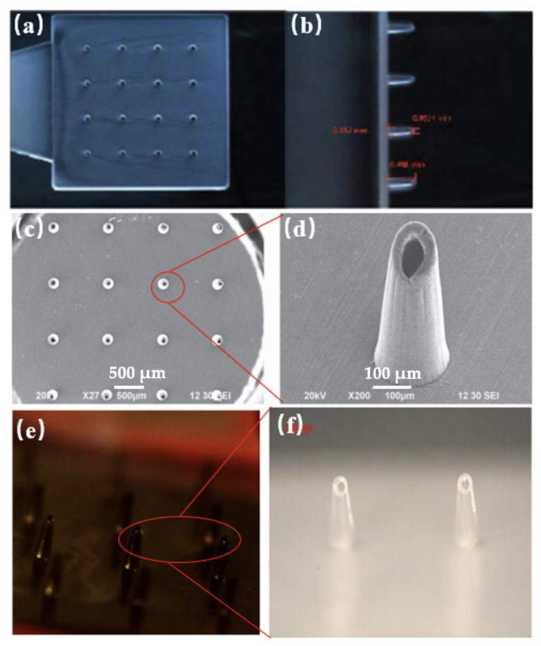 Figure 25