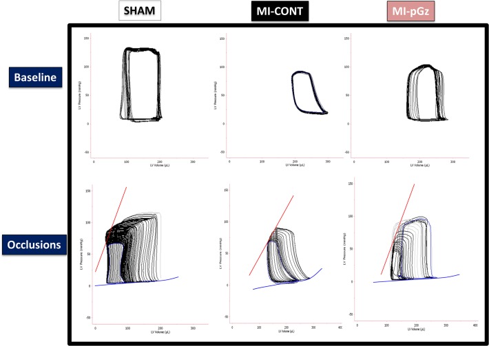 Fig 5