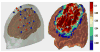 Fig. 8