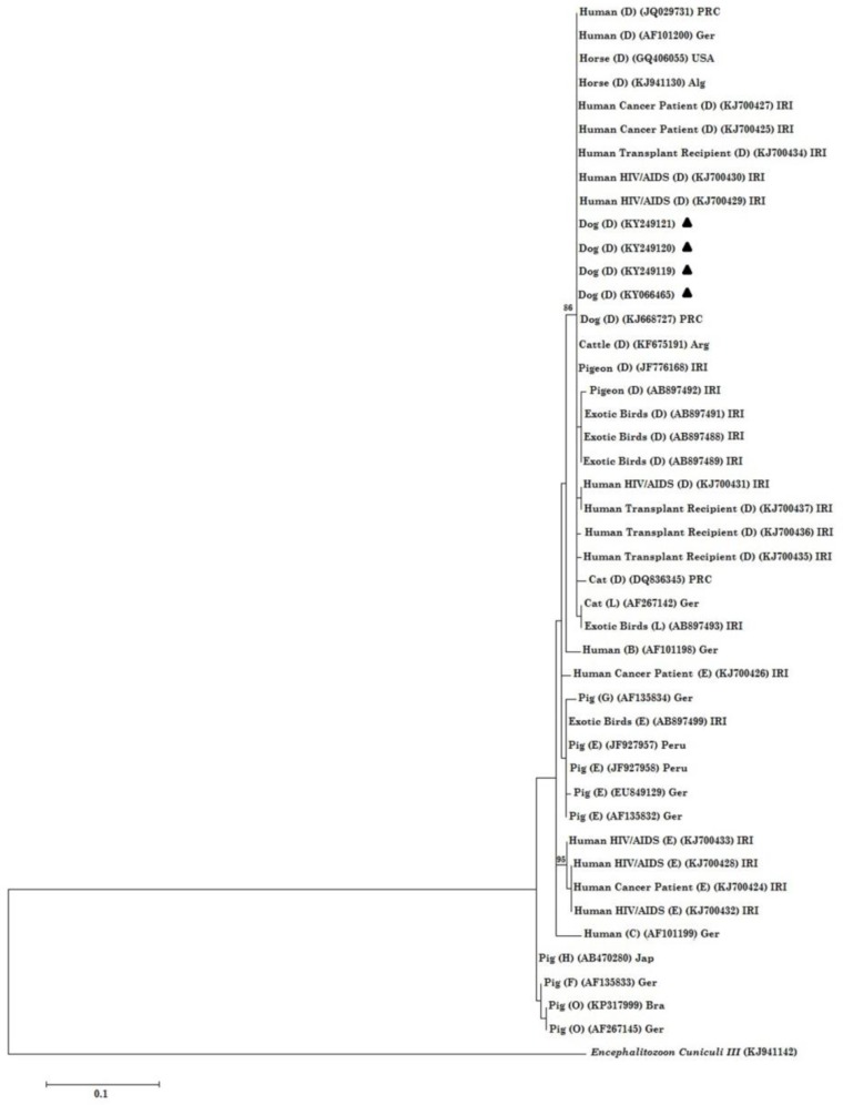 Fig. 2: