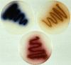 Fig. 3